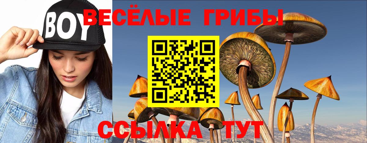 Псилоцибиновые грибы Cubensis  даркнет сайт  Касимов  Вход с VPN 