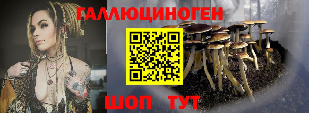 Псилоцибиновые грибы MAGIC MUSHROOMS Касимов