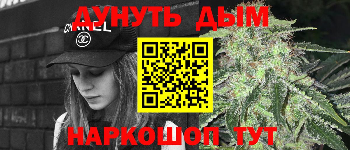 Каннабис сатива Касимов